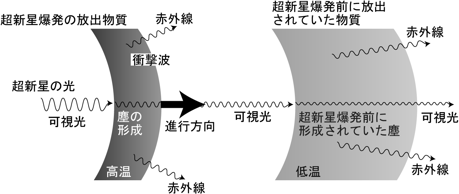 $BD6?7@1GzH/$+$iLsH>G/8e$ND6?7@1(B2006jc$B$r<h$j4,$/4D6-(B
